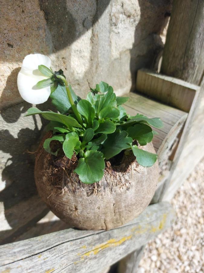 Thames Head Wharf - Historic Cotswold Cottage With Stunning Countryside Views サイレンセスター エクステリア 写真